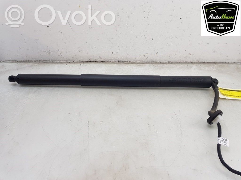 Tesla Model Y Tailgate/trunk/boot lift motor 