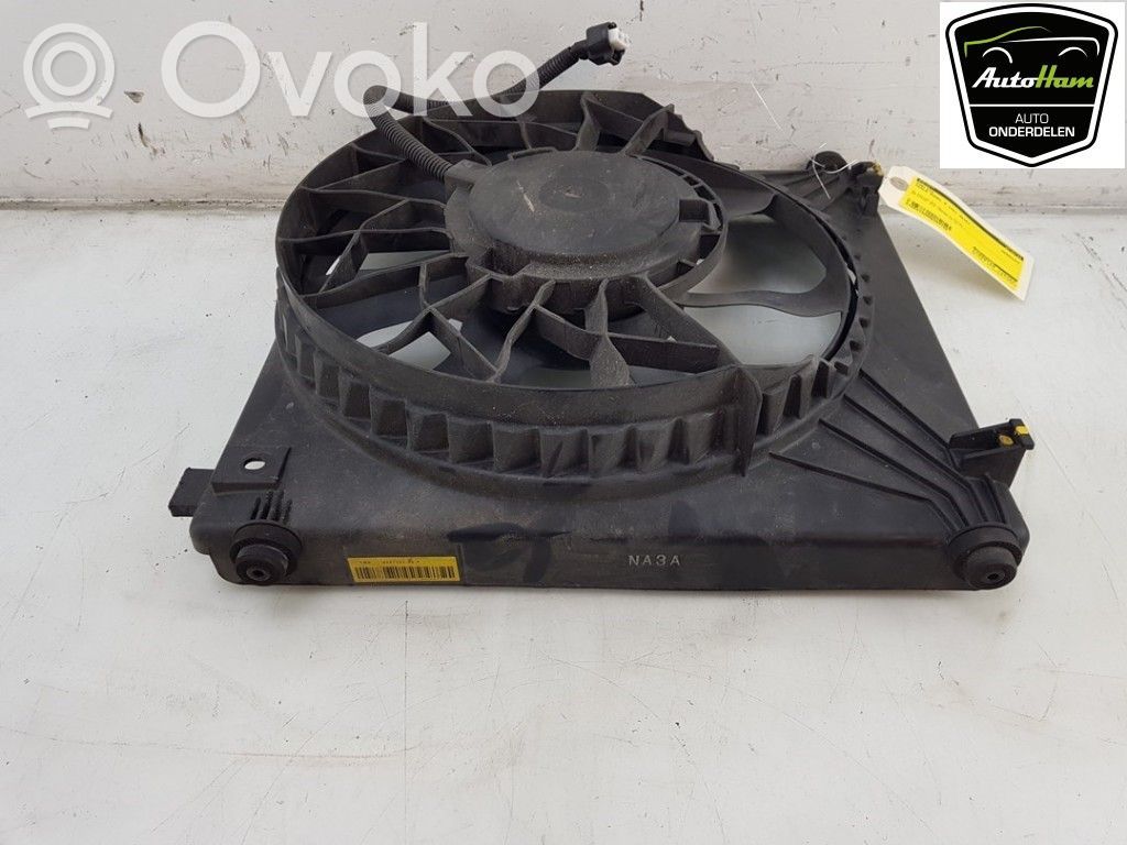 Tesla Model S Fan impeller 