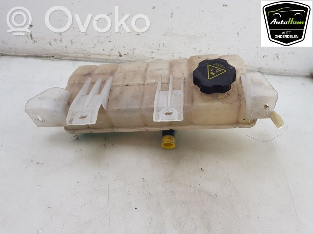 Tesla Model X Depósito del refrigerante 