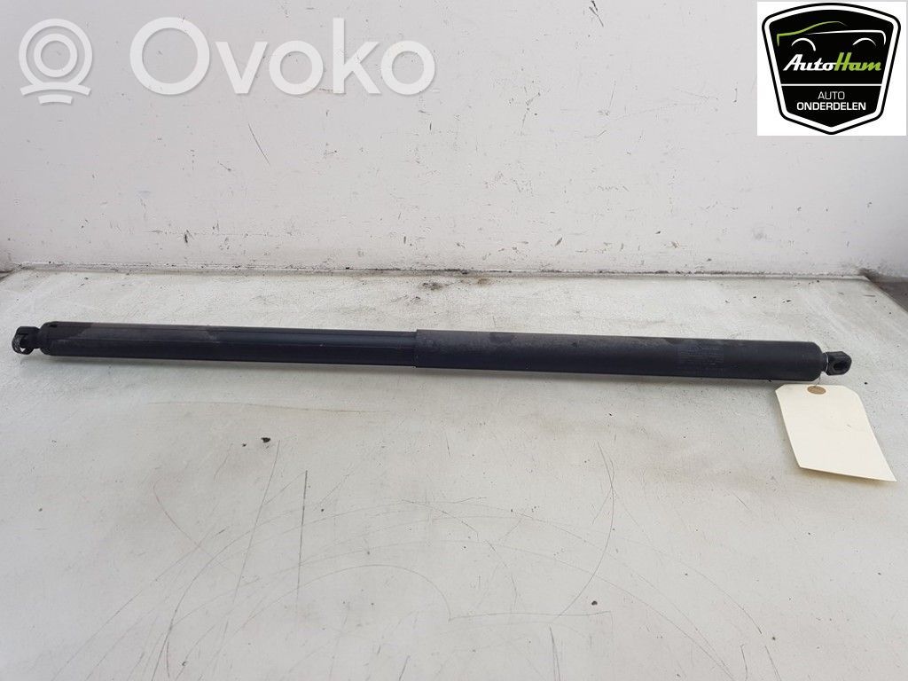 Tesla Model X Tailgate/trunk strut/damper 