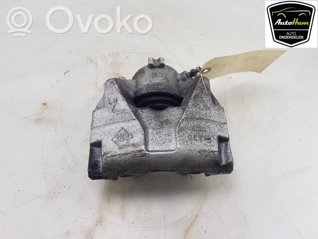 Bremssattel vorne   410110596R,410110596R,410110596R