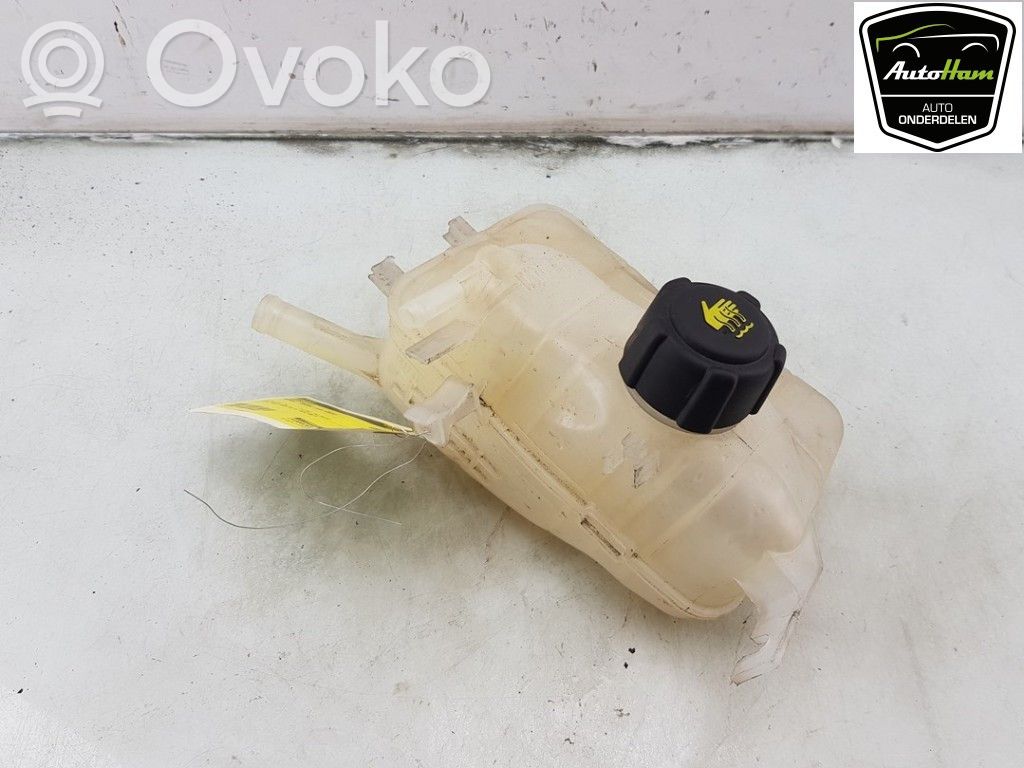 Renault Megane III Zbiornik wyrównawczy chłodziwa