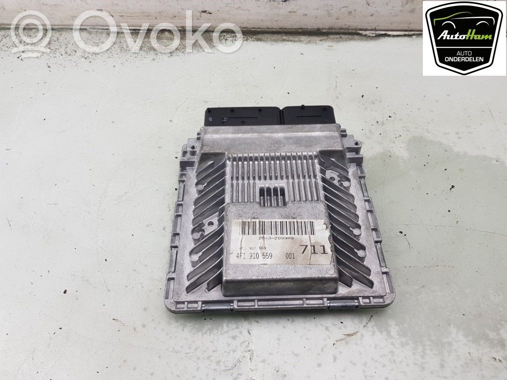 Audi A6 S6 C6 4F Engine control unit/module 