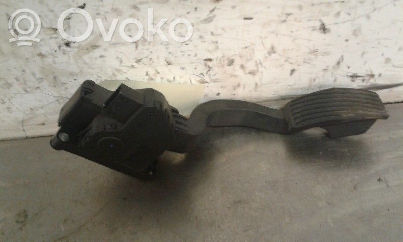 Fiat Punto (199) Kaasupoljin 