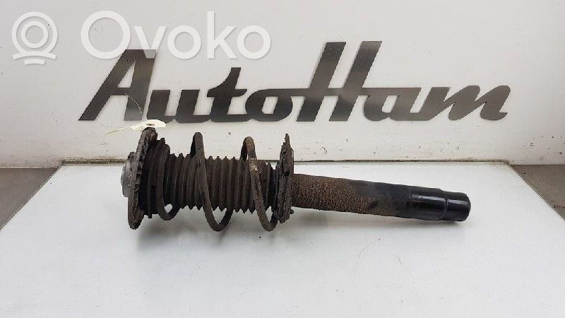 BMW 3 GT F34 Stoßdämpfer vorne 
