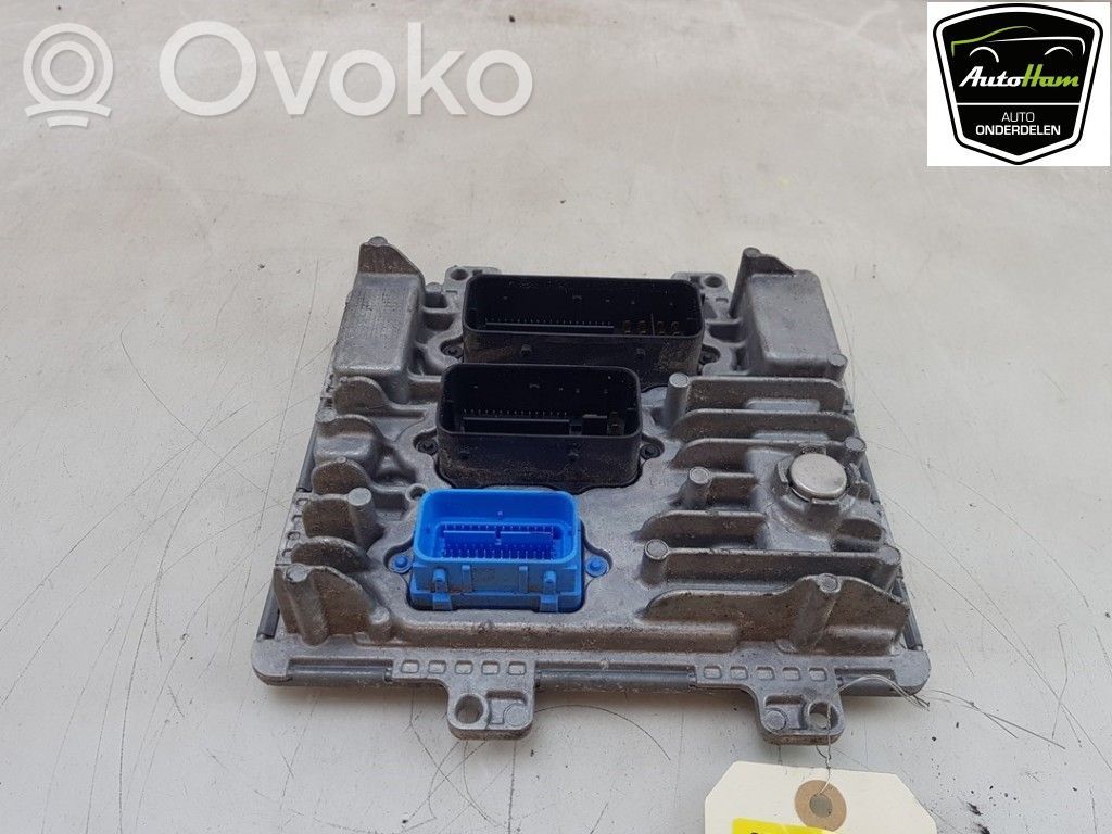 Engine control unit/module   55509243,55501366,55501366,55509243
