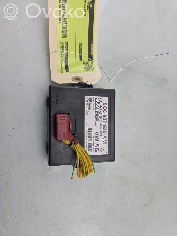 Volkswagen Tiguan Modulo di controllo accesso 