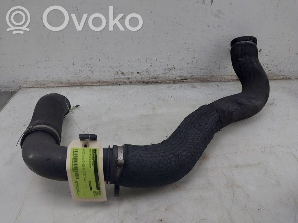 Fiat Ducato Tubo flessibile intercooler 