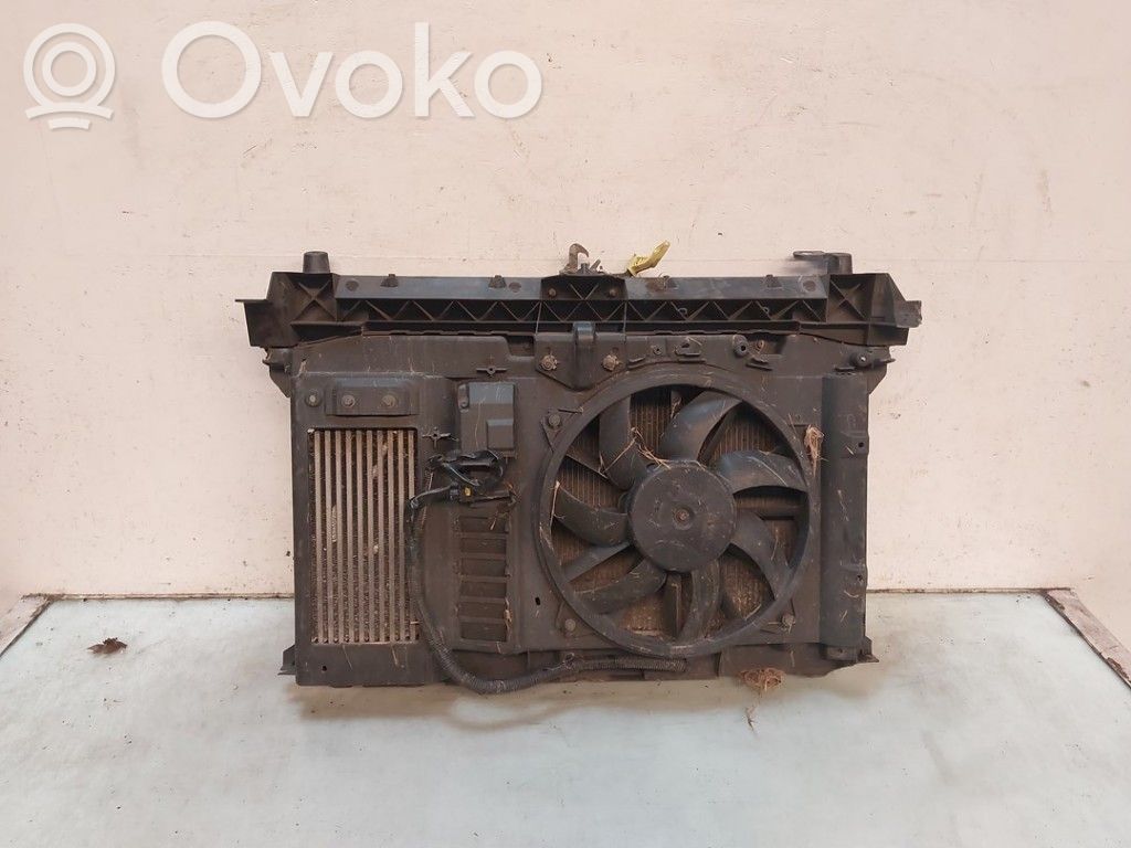 Peugeot Partner Set del radiatore 