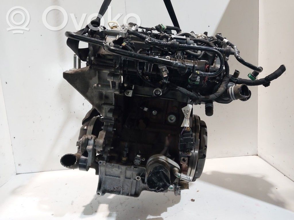 Ford Fiesta Engine 