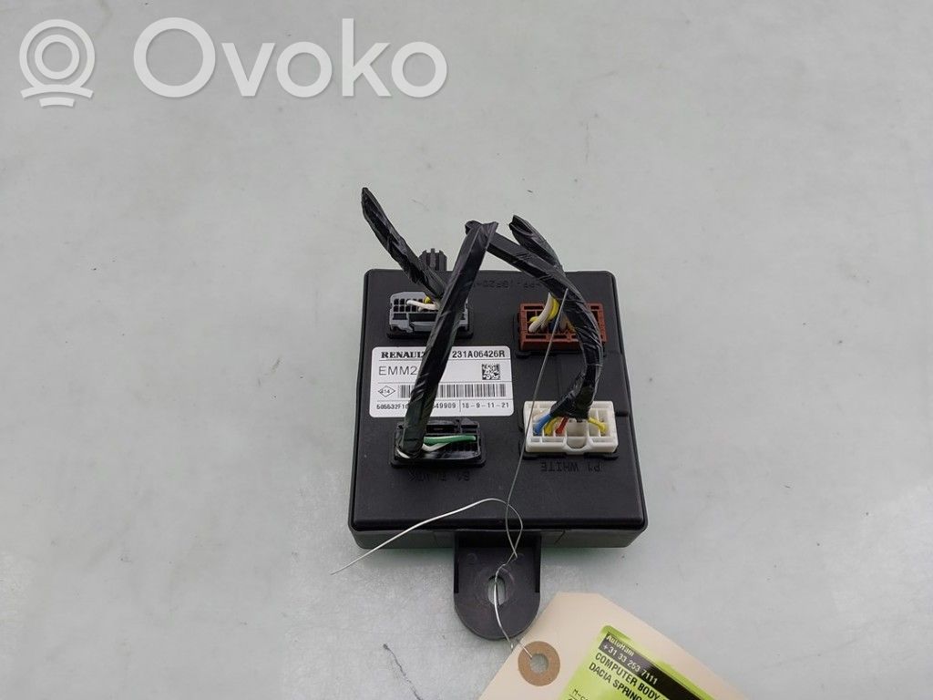 Dacia Spring Other control units/modules 