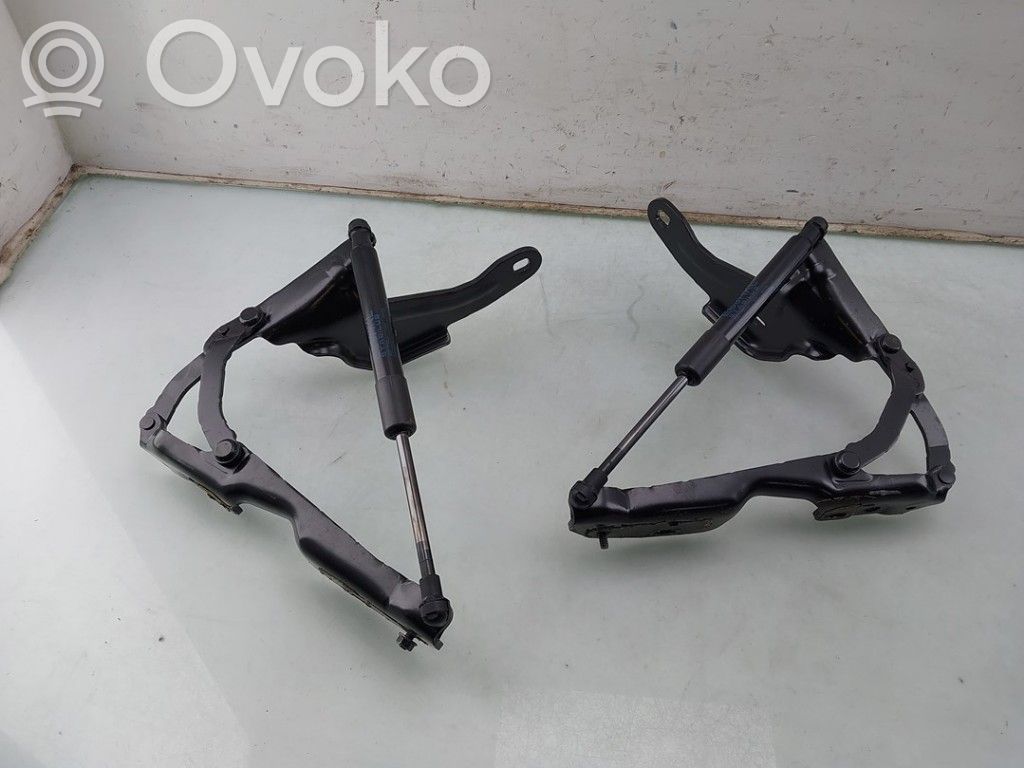 BMW Z4 E89 Tailgate/trunk/boot hinge 