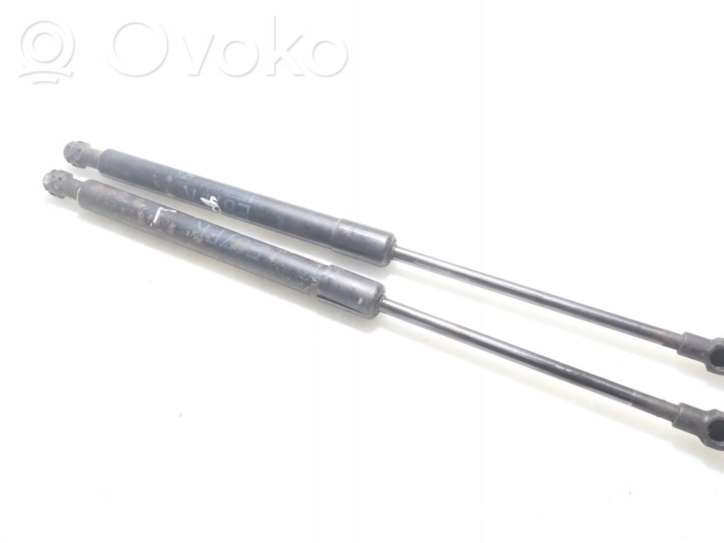 Front bonnet/hood damper/strut