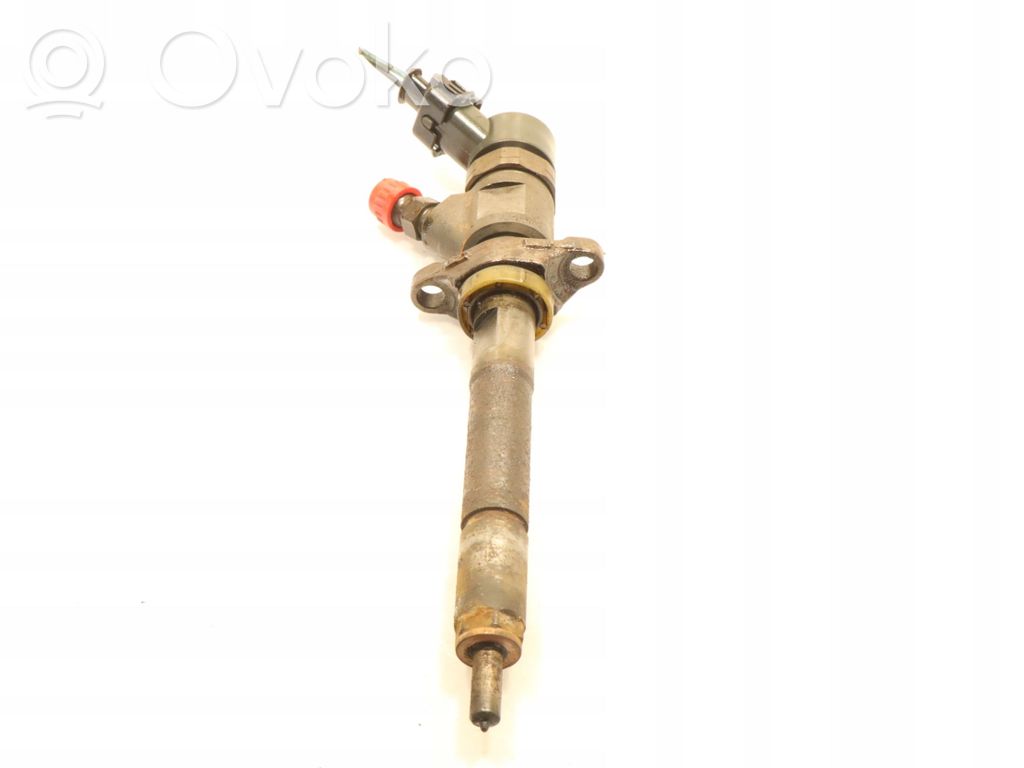 Ford Focus Fuel injector 