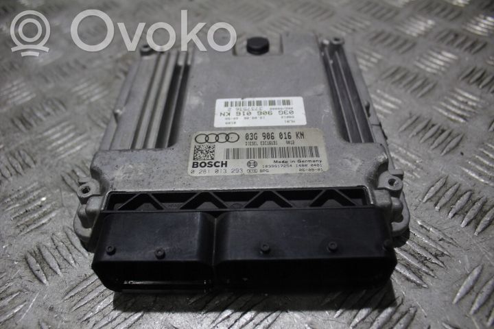 Engine control unit/module ECU   0281013293