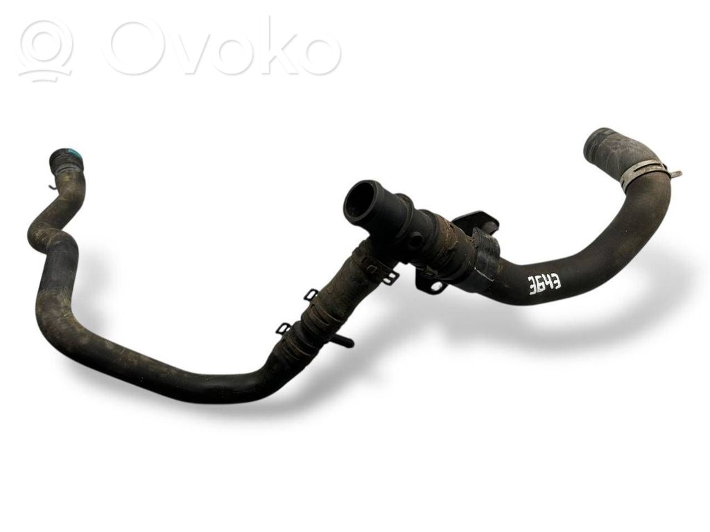 Przewód / Wąż chłodnicy   GK3118N252AE,2810893