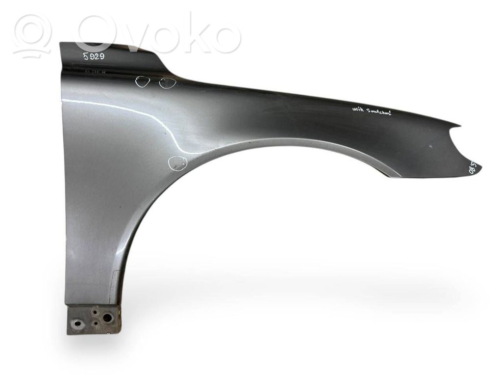Guardabarro   31294001