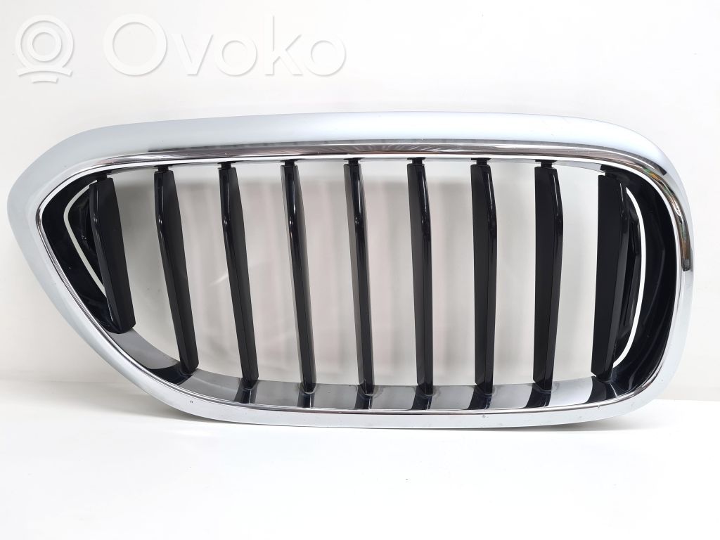 BMW 5 G30 G31 G38 Front grill 