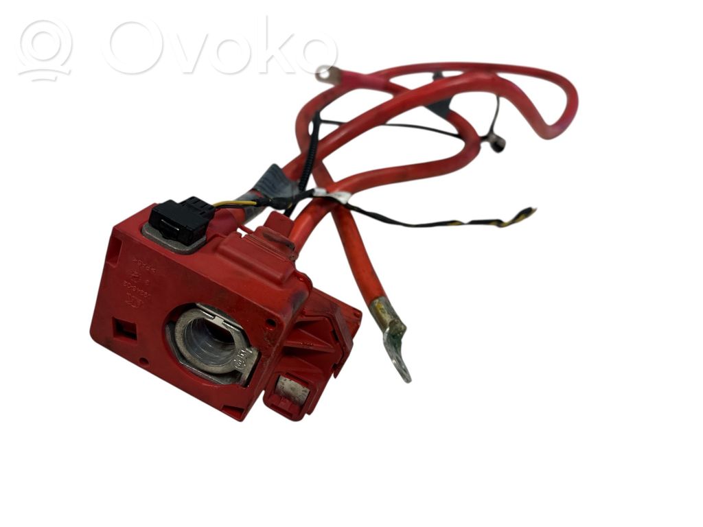 Positive cable (battery)   6989782
