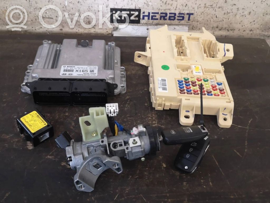 Engine control unit/module   391502A525,391502A525,X165,0281032241,391502A525,91950A4510,X165