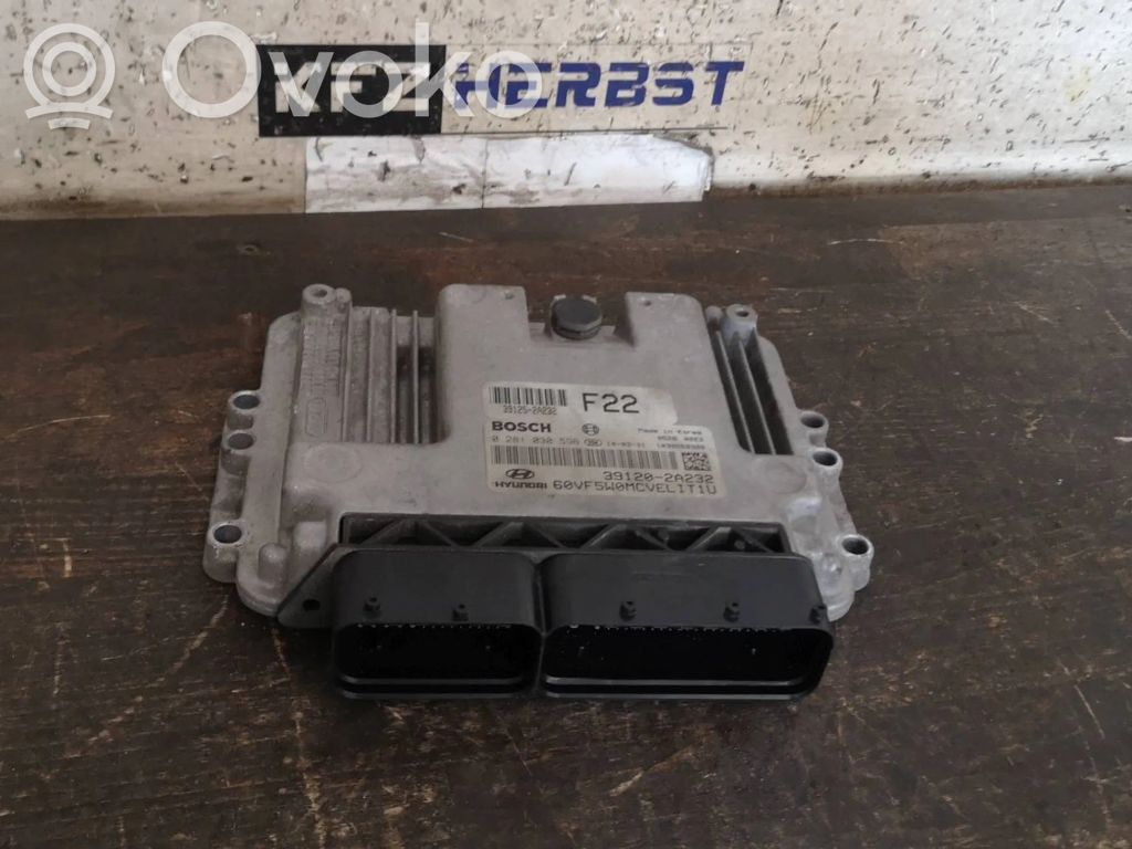 Engine control unit/module   391252A232,391252A232,0281030596,0281030596,391202A232,391252A232