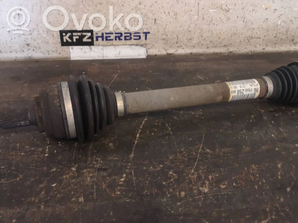 Citroen C4 Grand Picasso Albero di trasmissione (set)