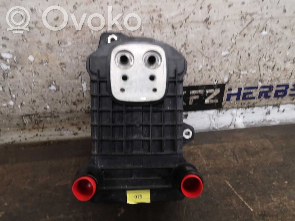 Volkswagen ID.3 Pečiuko radiatorius 