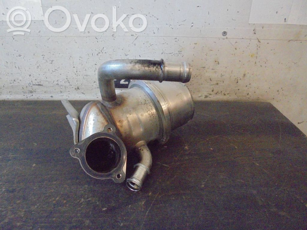 Volkswagen PASSAT B8 Valvola di raffreddamento EGR