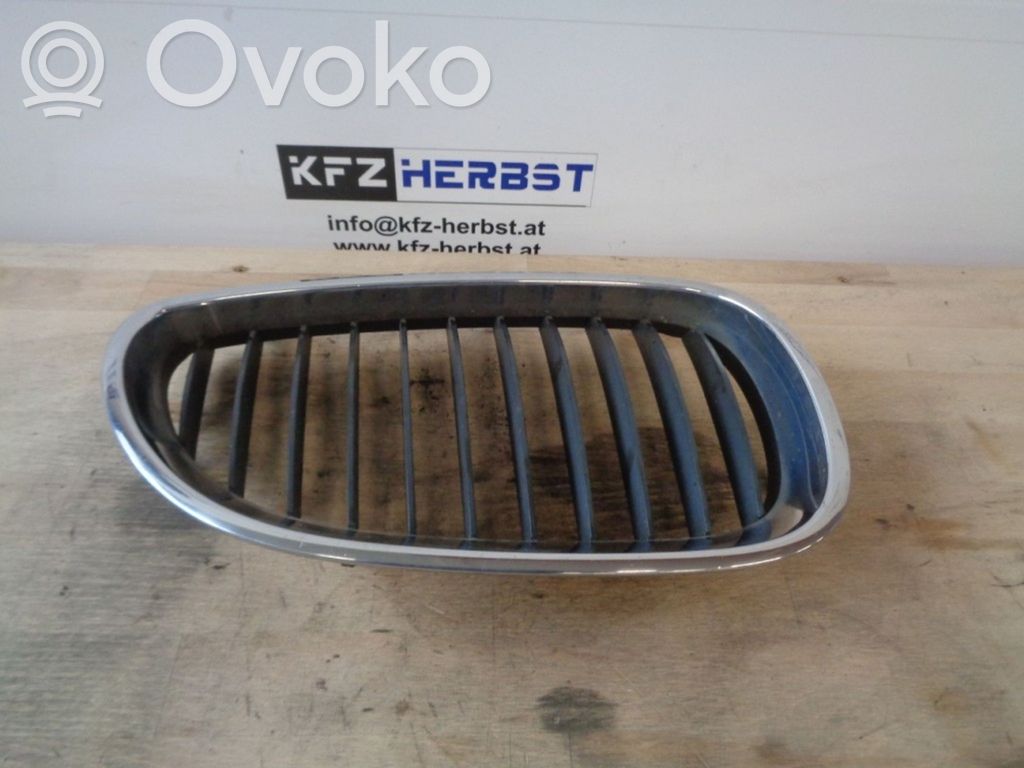 BMW 5 E60 E61 Front grill 