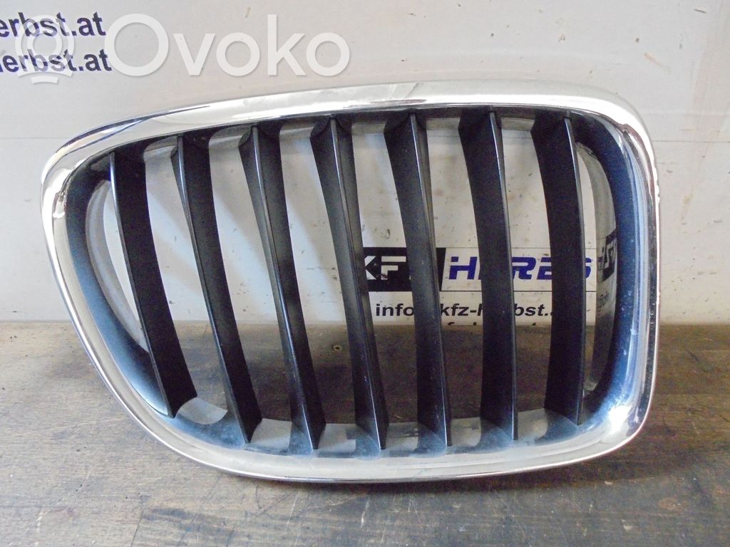 BMW X1 E84 Front grill 