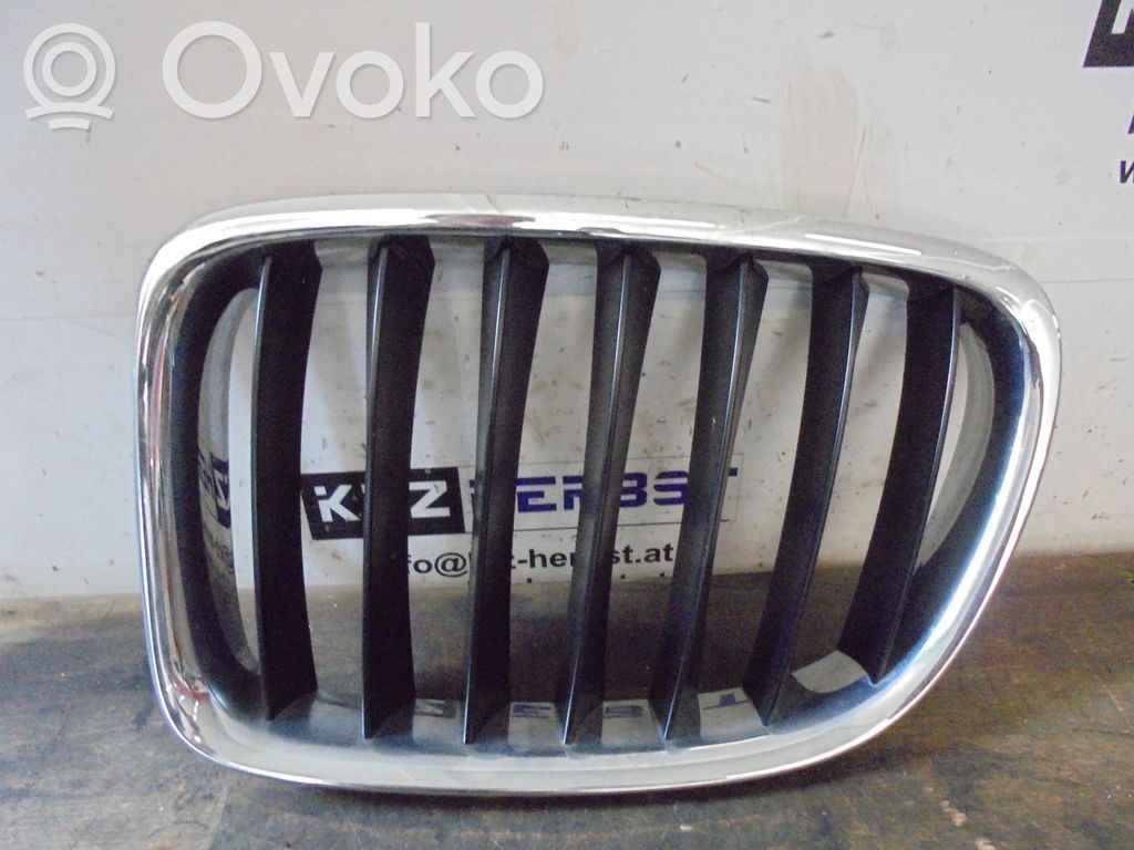 BMW X1 E84 Front grill 