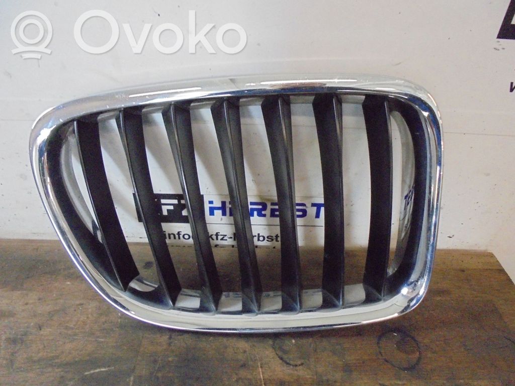 BMW X1 E84 Front grill 
