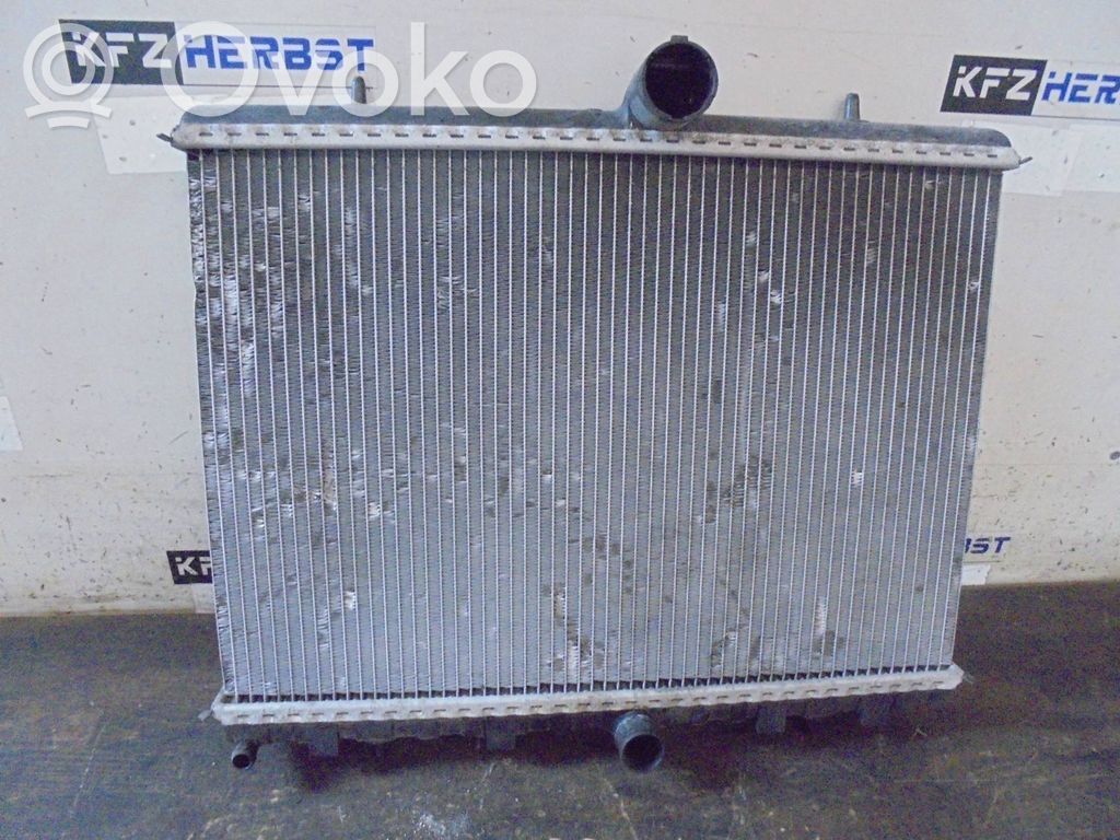 Peugeot Expert Set del radiatore 