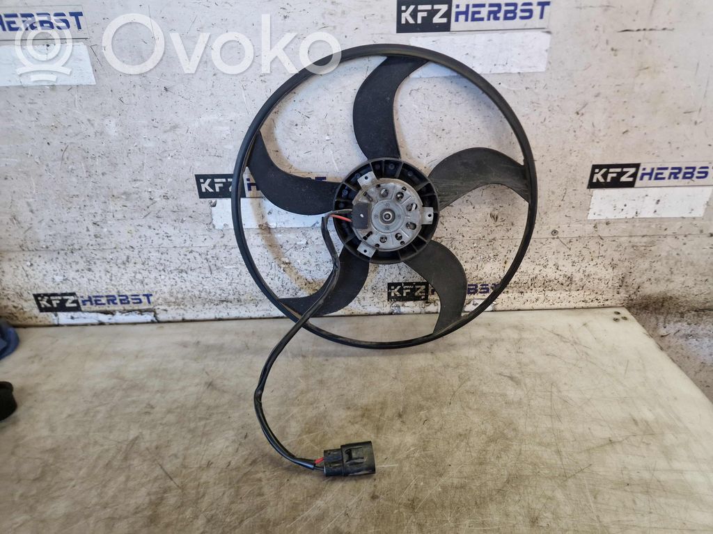 Fan set   3136613357,3136613357,3136613357
