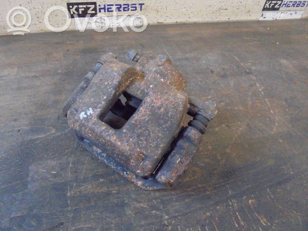 Takajarrusatula   71769996,71769996