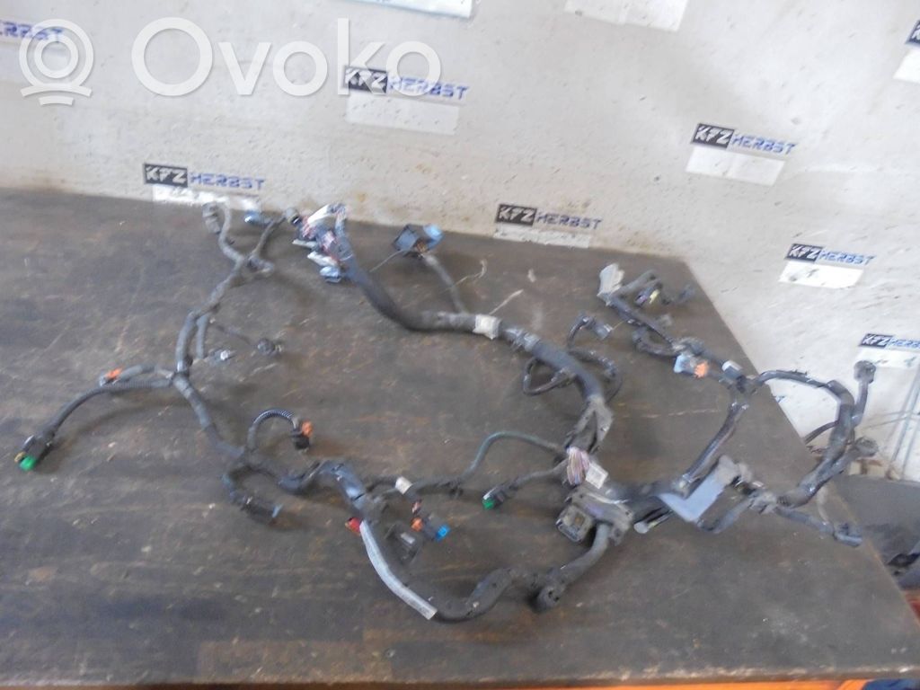Citroen Berlingo Engine installation wiring loom 