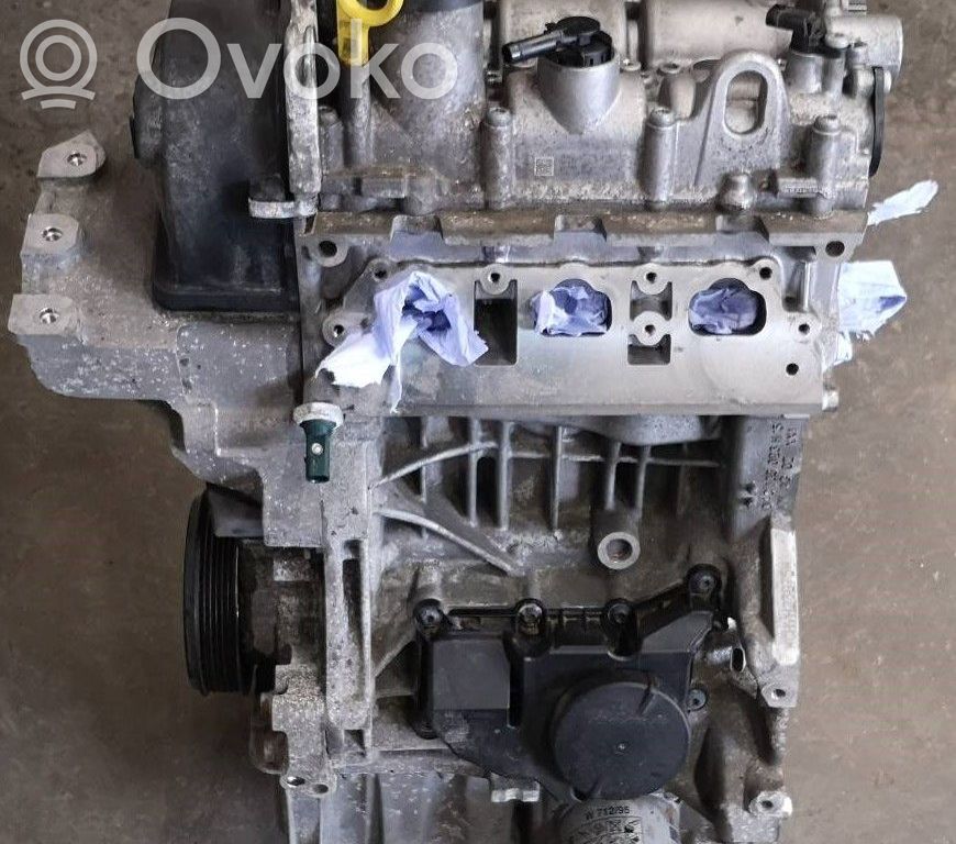 Skoda Fabia Mk3 (NJ) Engine 