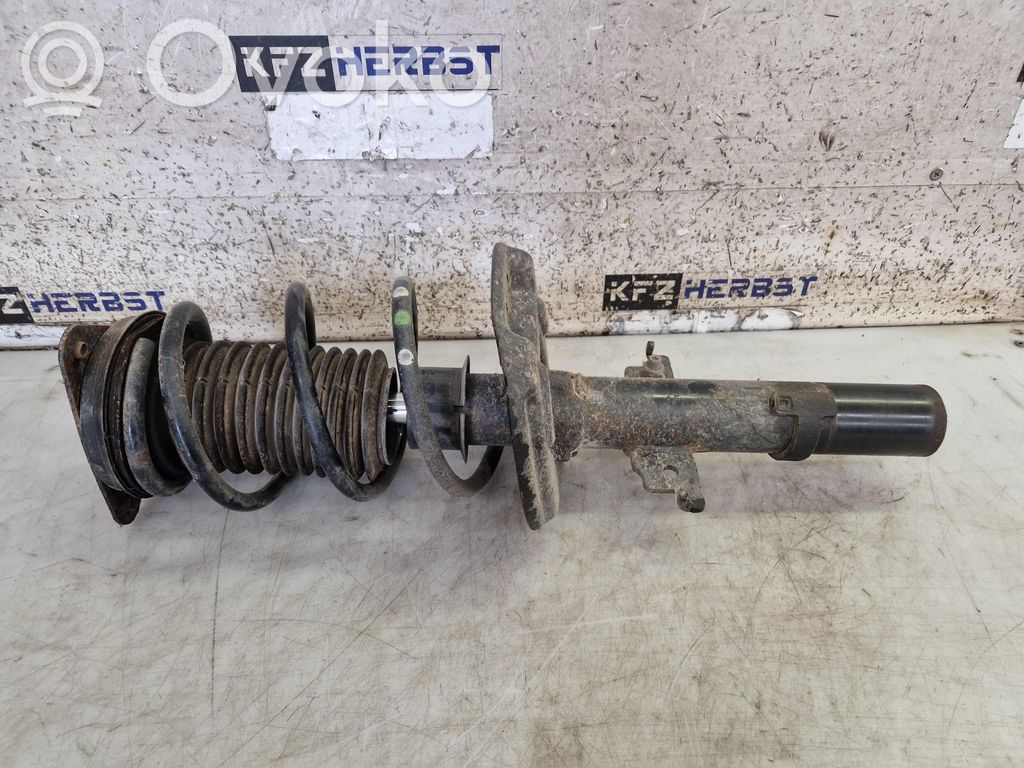 Amortyzator osi przedniej ze sprężyną   543025368R,540103567R,540103567R,543025368R
