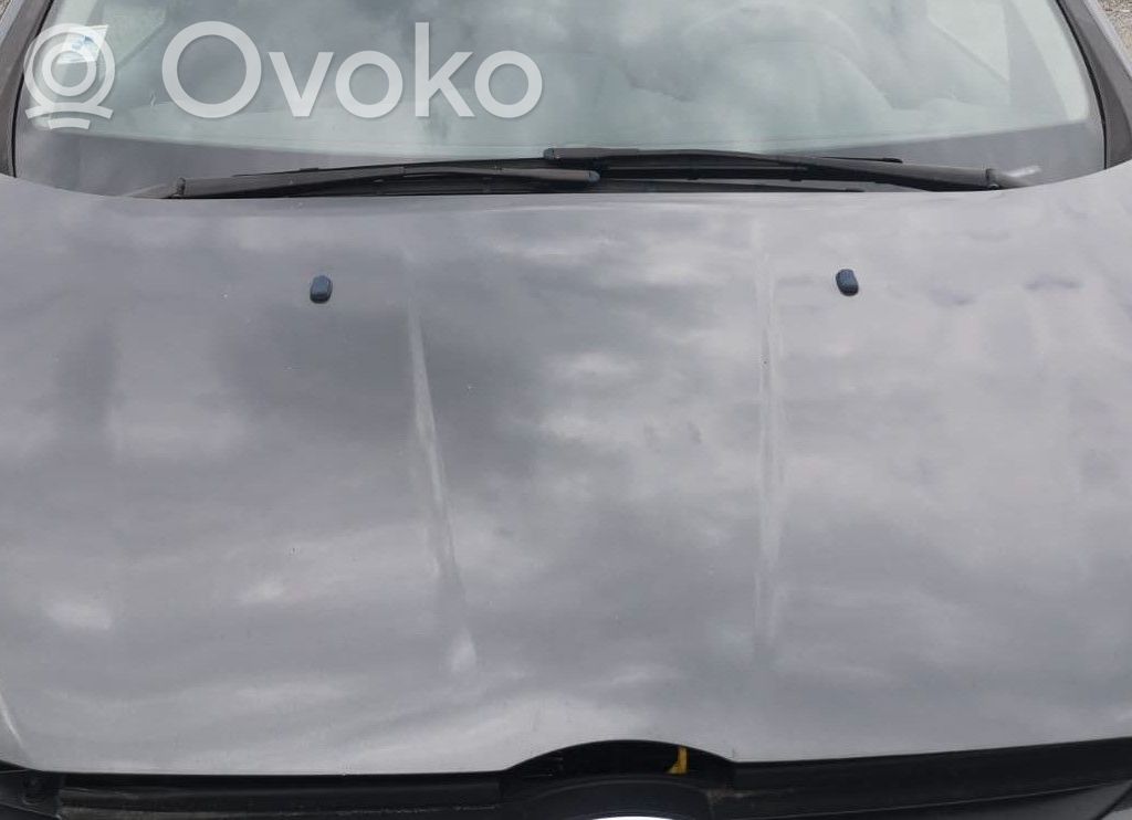 Motorhaube   2100964,PAV11R16610AC,2100964,PAV11R16610AC