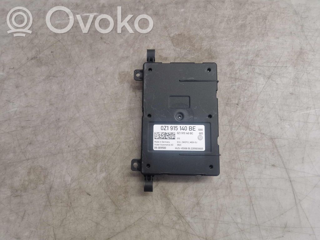 Cupra Born Other control units/modules 