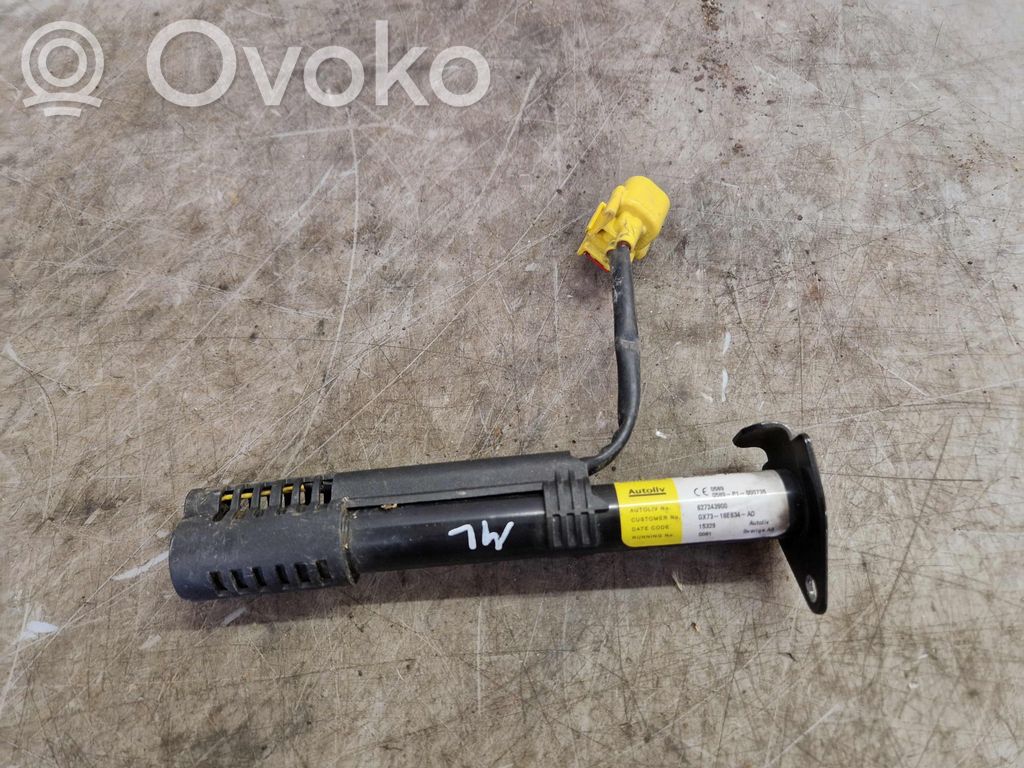 Jaguar XE Cerniere del vano motore/cofano 