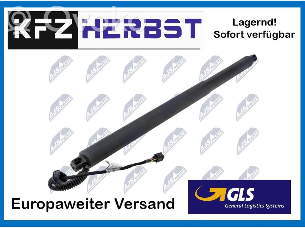 Tailgate/trunk strut/damper   NEU,575827852C,NEU