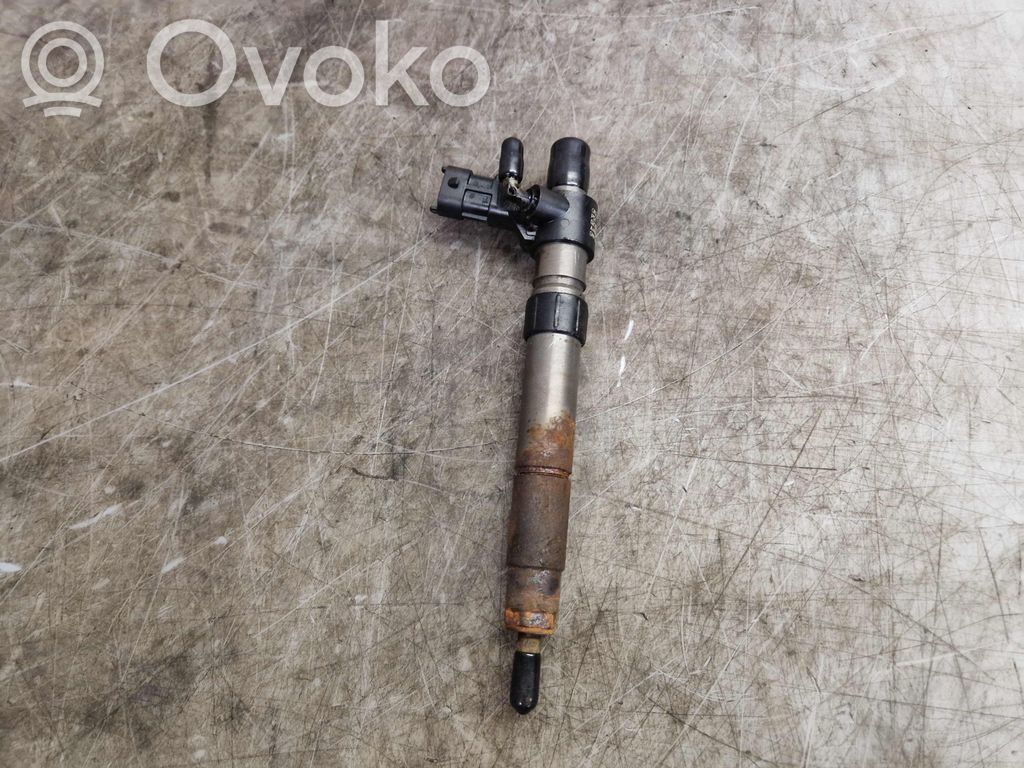Land Rover Freelander 2 - LR2 Inyector de combustible 
