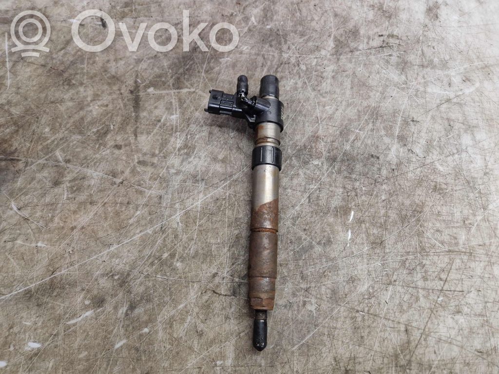 Land Rover Freelander 2 - LR2 Inyector de combustible 