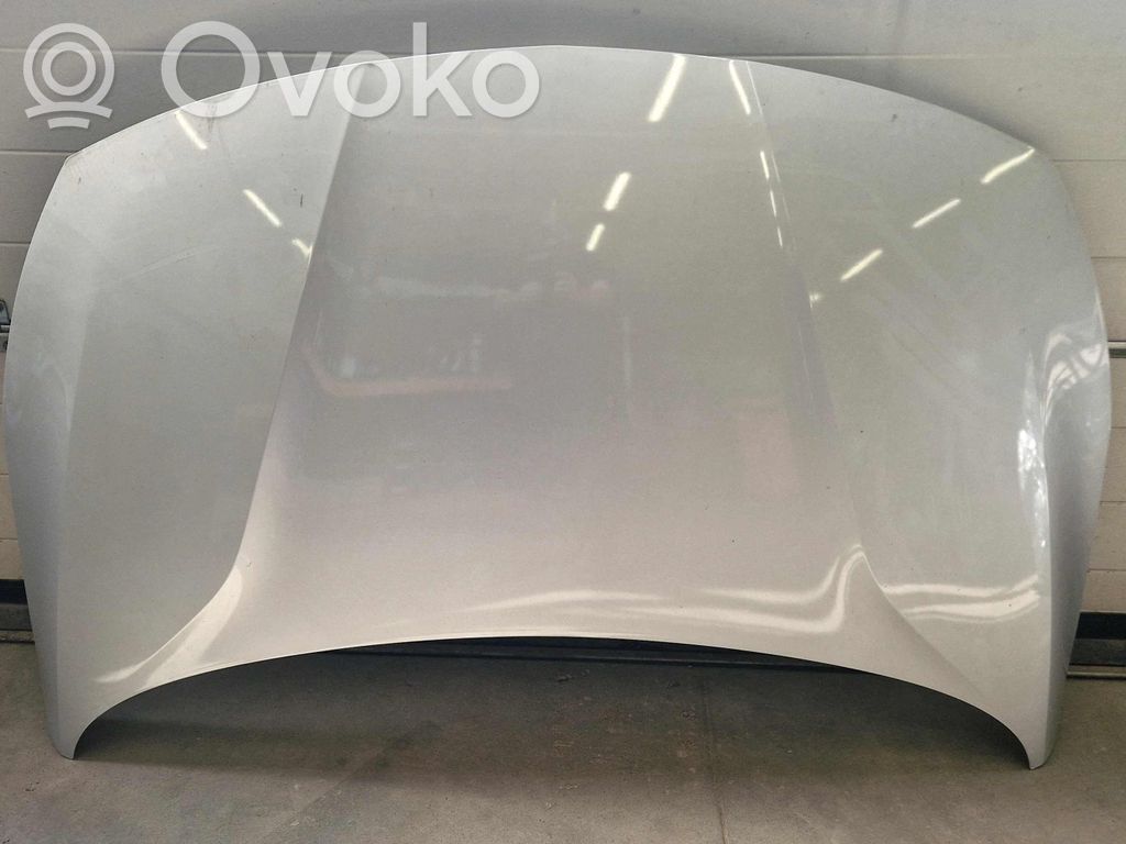 Capotă motor   39169009,39169009