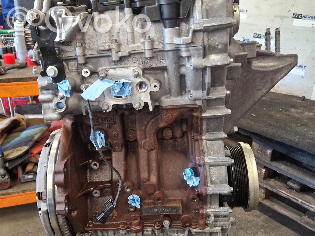 Engine   L1BG6006LA,57583KM,2462774,57583KM,L1BG6006LA