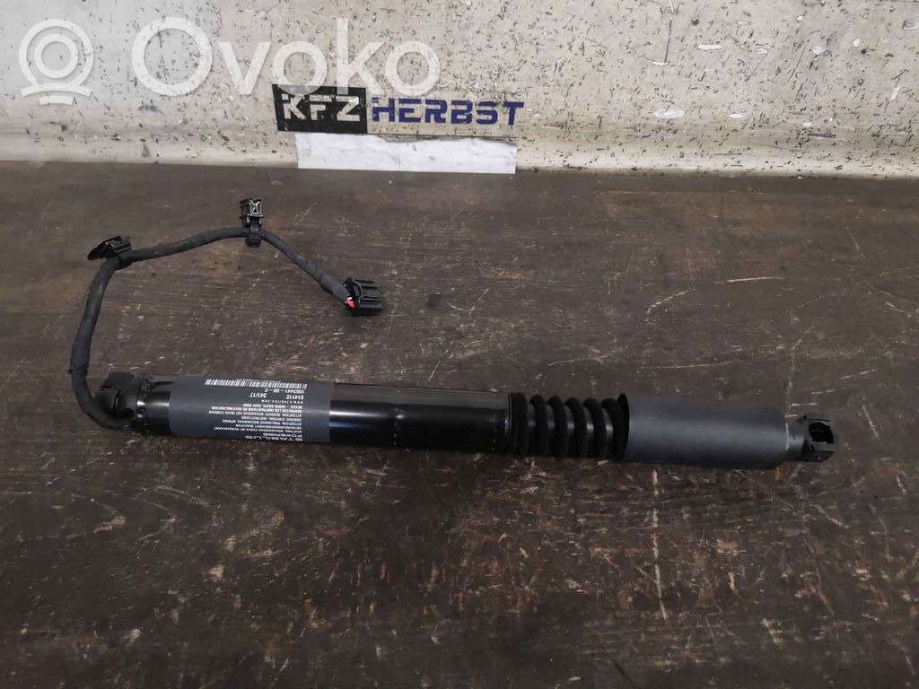 Rear door lock loop/hook striker   106344100C,106344100C