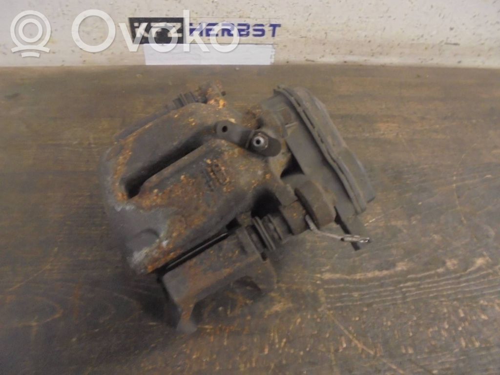 Takajarrusatula   43,43,4G0615403A