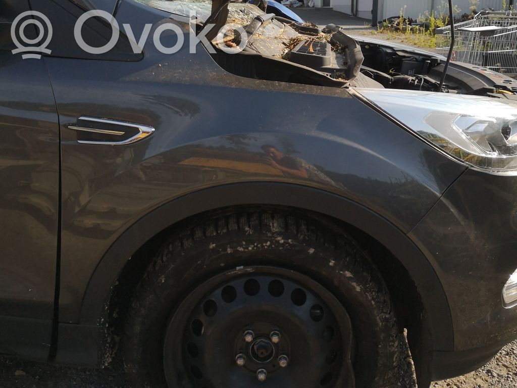 Ford Kuga II Parafango 