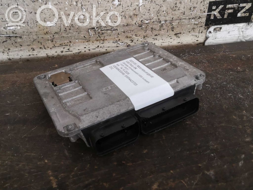 Volkswagen Polo Centralina/modulo del motore